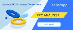 amazon digital marketing and google ad words ppc